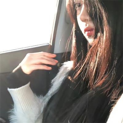 笨鸟满天飞