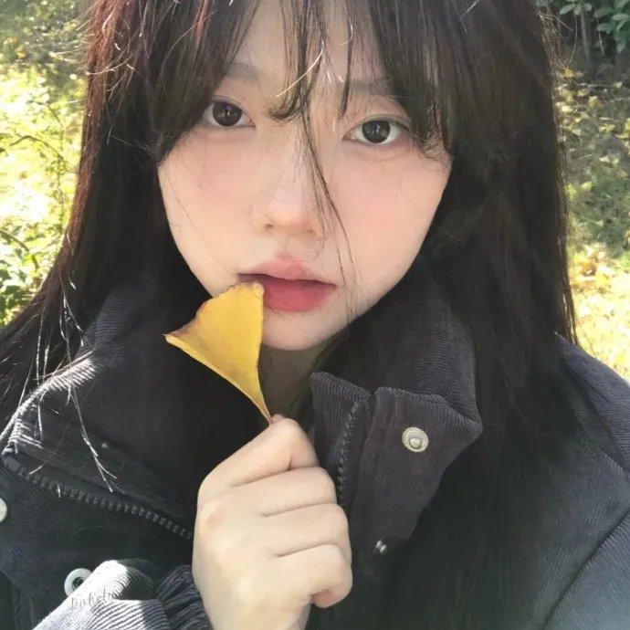 紫禁秘录